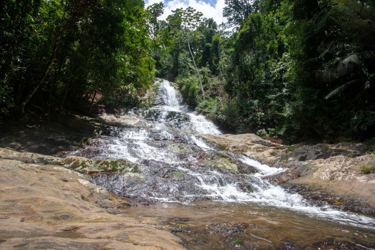 Ecológico